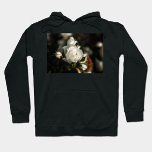 White Flower on a Dark Bokeh Background Hoodie